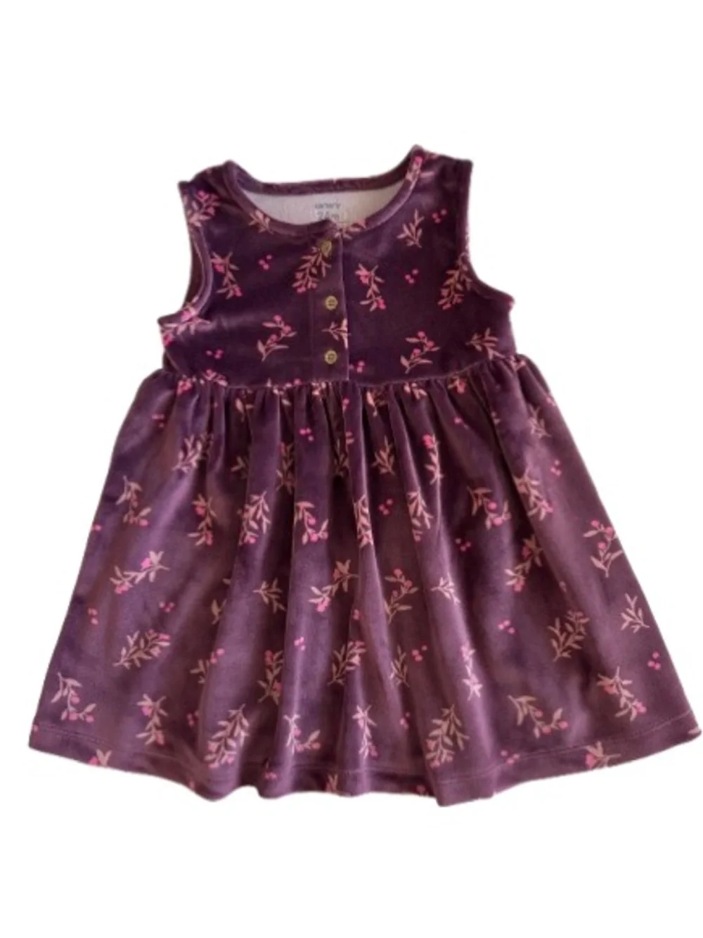 Carter's Girl' 24m Plum & Pink Floral Print Velvet Sleeveless Dress & Round Neck